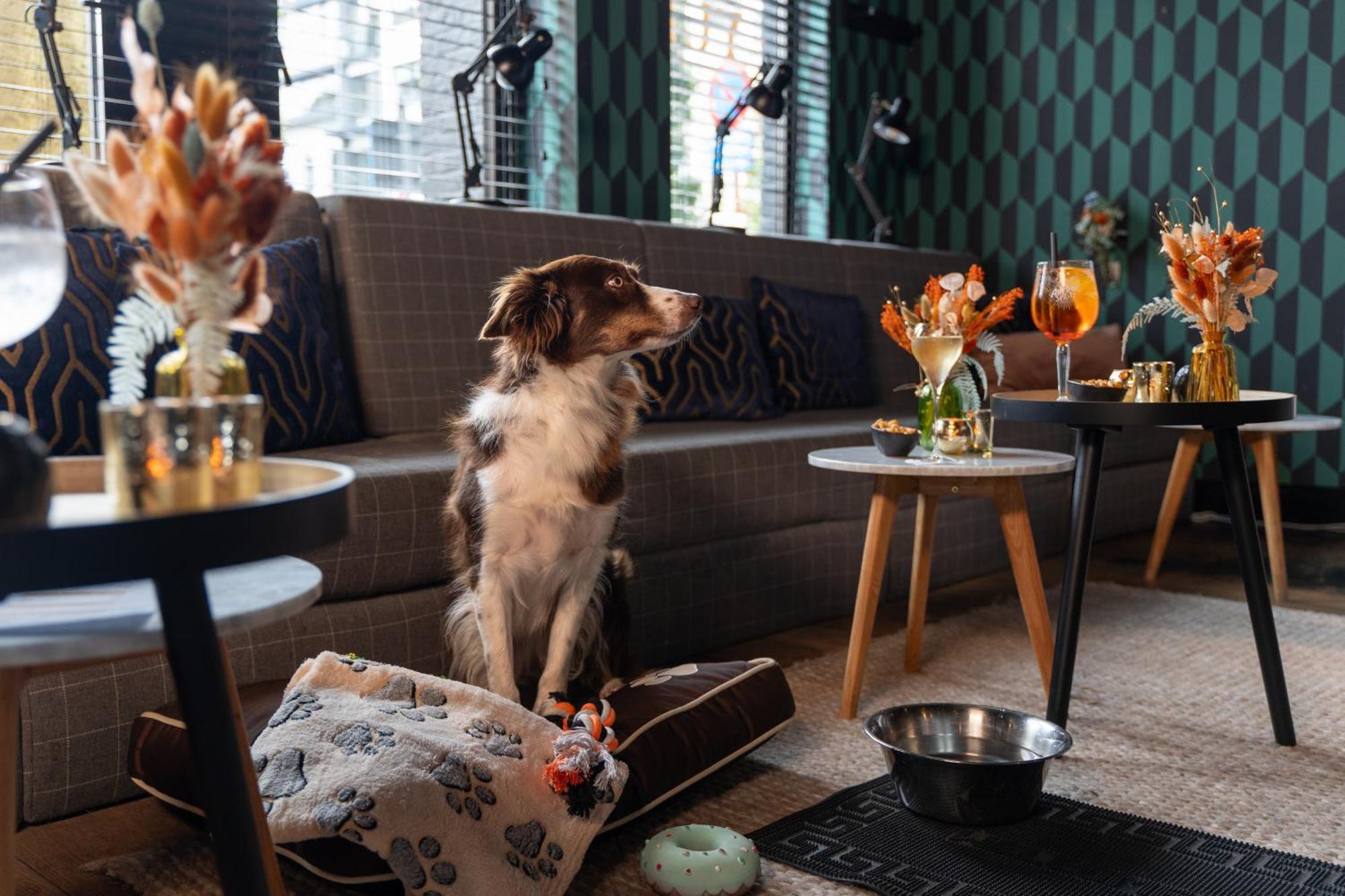 Ibis Styles Hasselt City Centre Екстер'єр фото
