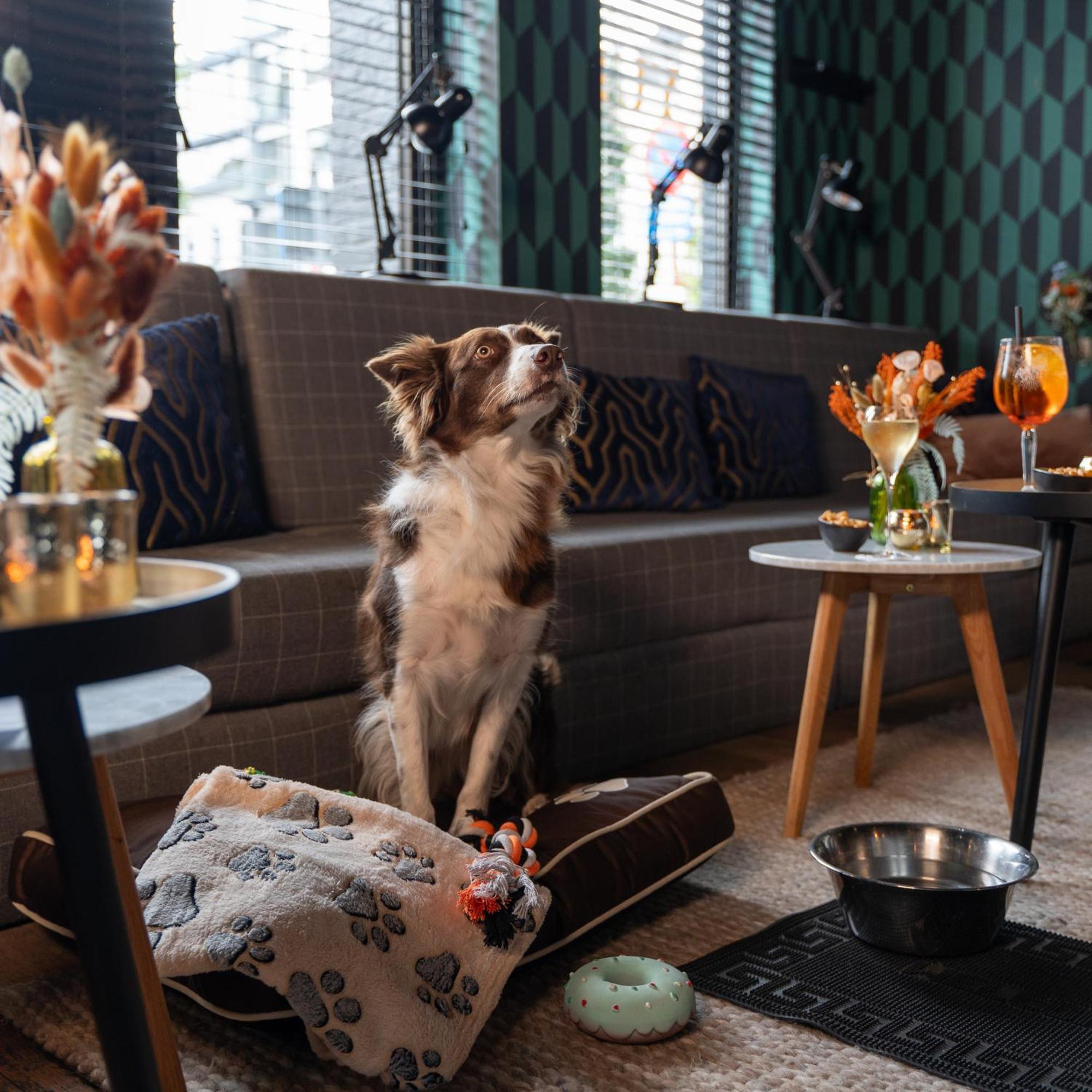 Ibis Styles Hasselt City Centre Екстер'єр фото